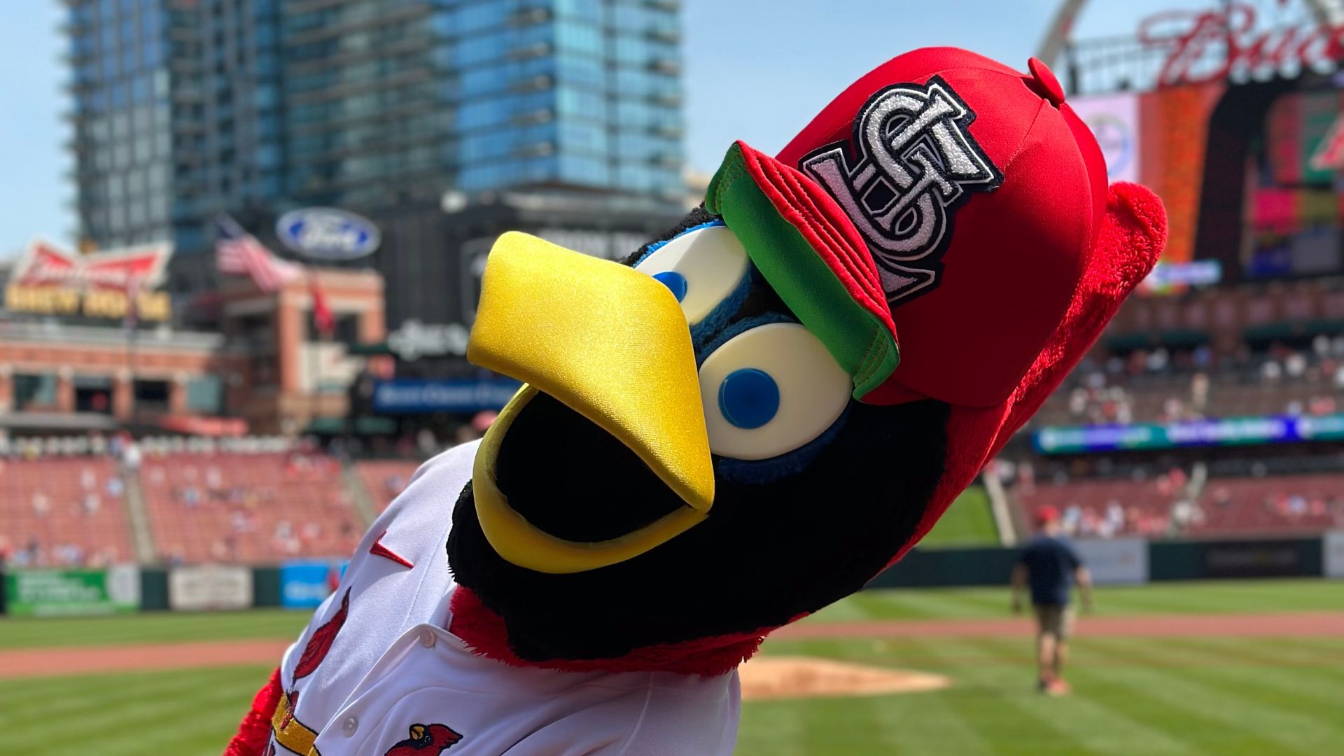 Fredbird poses for the camera during a St Louis Cardinals game at Busch Stadium.