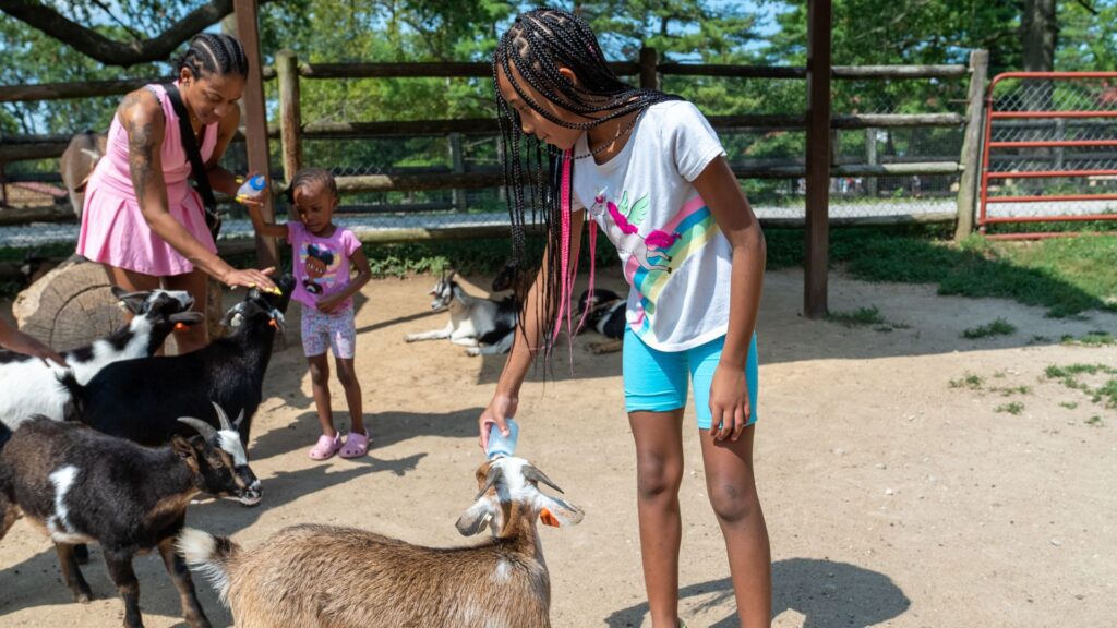 A family feeds goats at Grant's Farm.