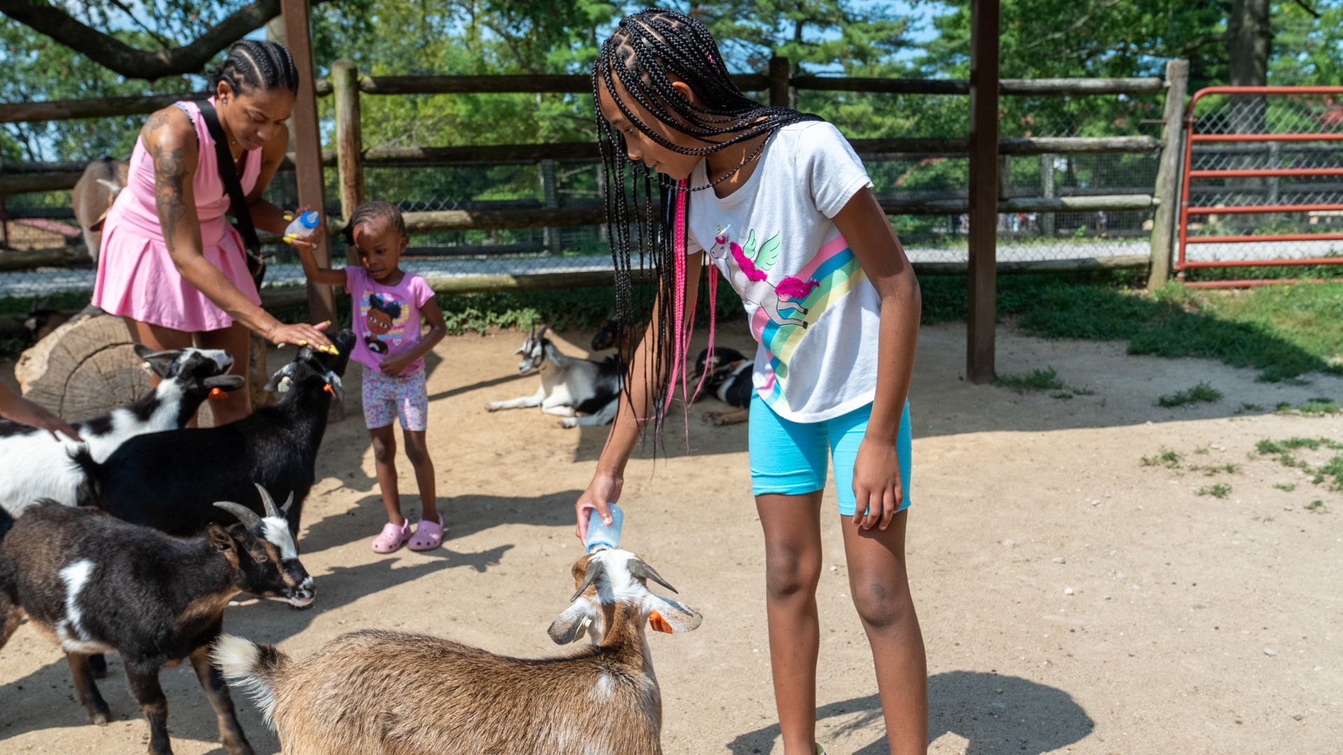 A family feeds goats at Grant's Farm.