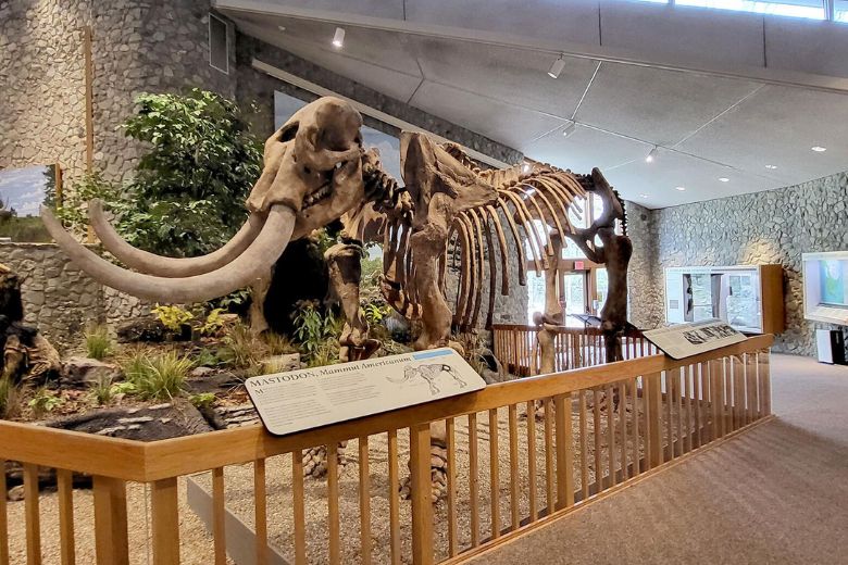 At the Mastodon State Historic Site, scientists discovered the first solid evidence of the coexistence of humans and the American mastodon in eastern North America.