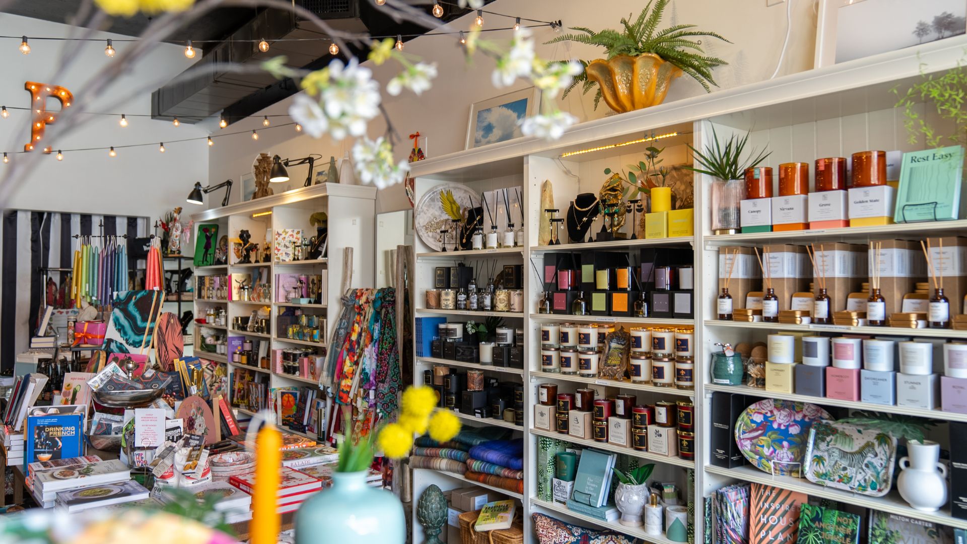 Provisions St. Louis is a beautifully curated shop in the Central West End.