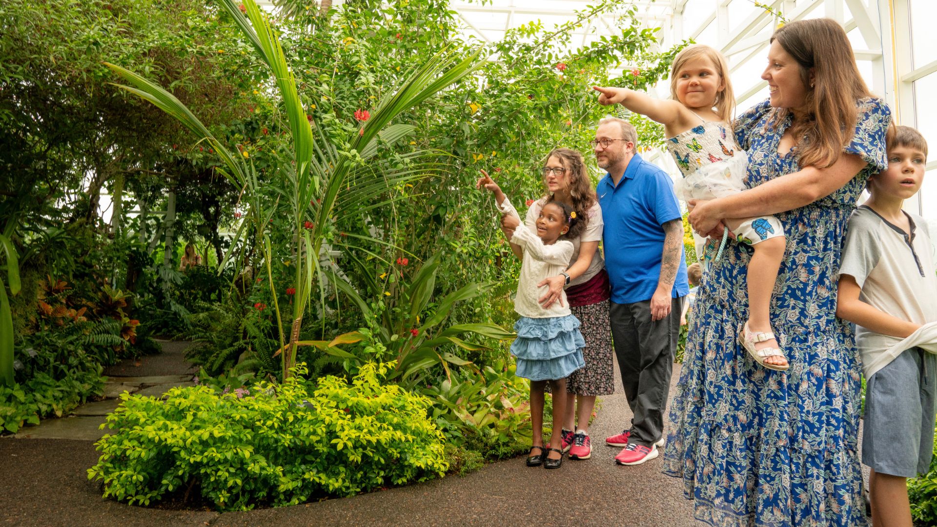 Families spot butterflies at the Sophia M. Sachs Butterfly House.