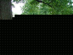 dscf8634 