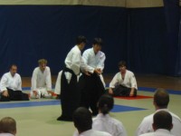 KosaDori2 